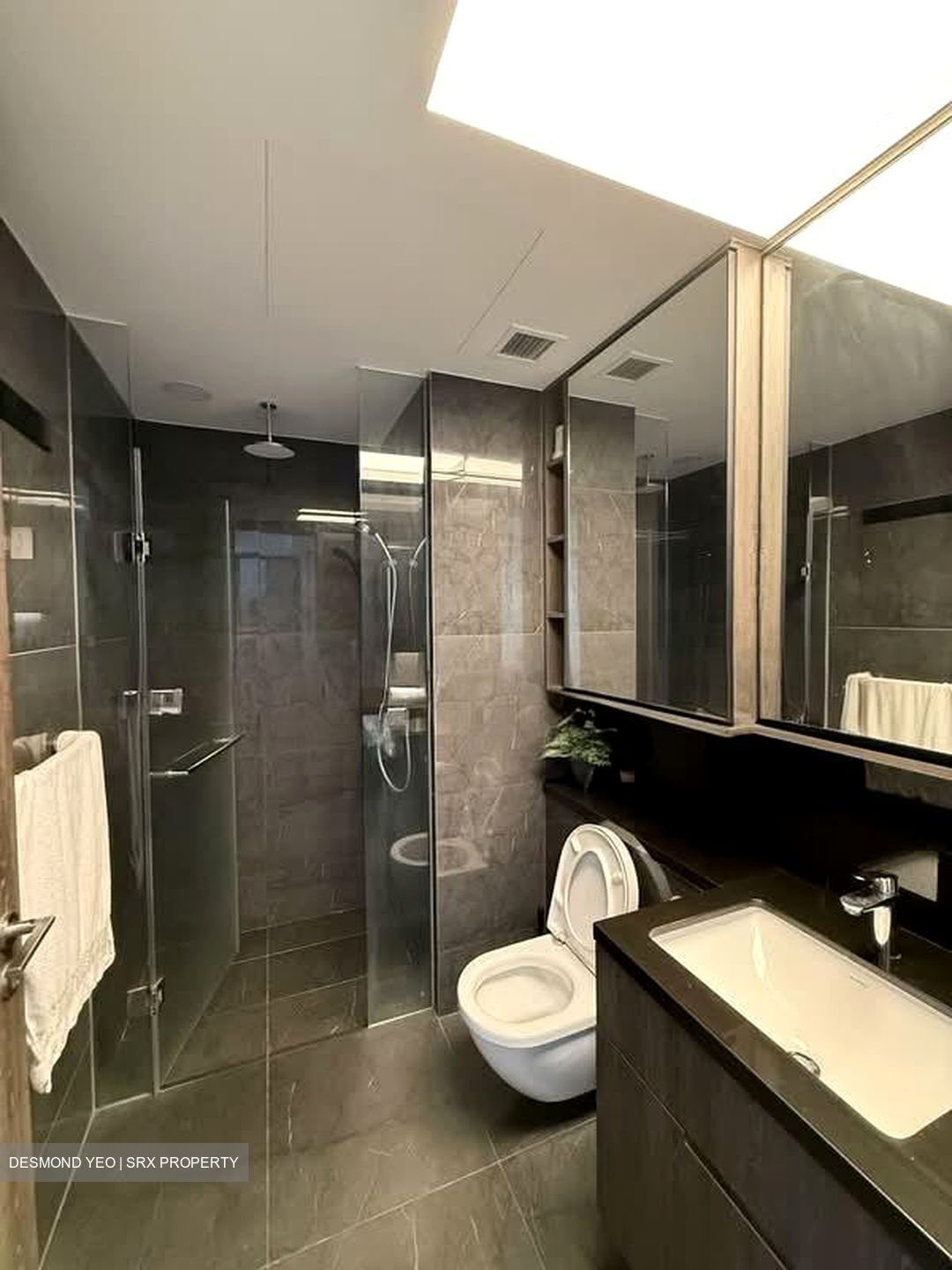 The M (D7), Apartment #565229411